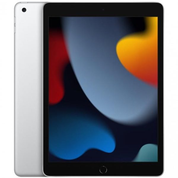 apple ipad 2021 102 256gb wifi cellular plata