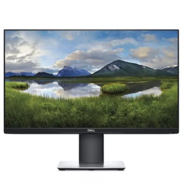 monitor 24 dell p2421d